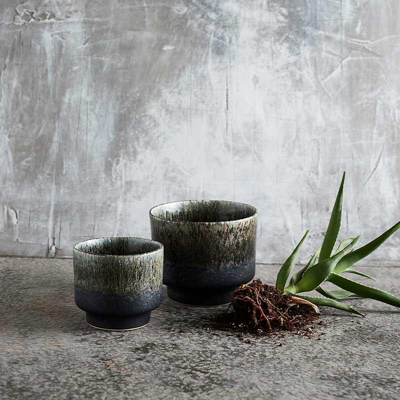 Krukke Lago M - Forest Green