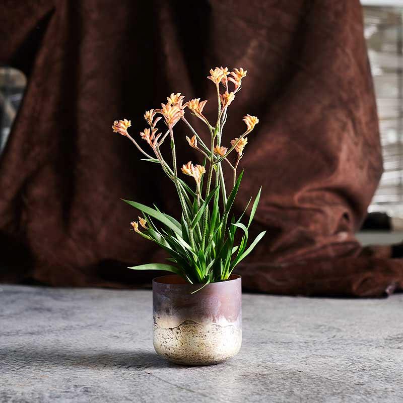 Vase Lana 14 - Brown/Gold