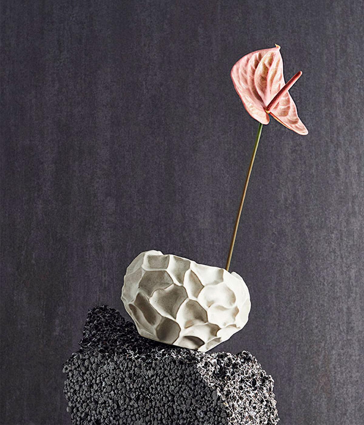 Krukke Soil - Vanilje