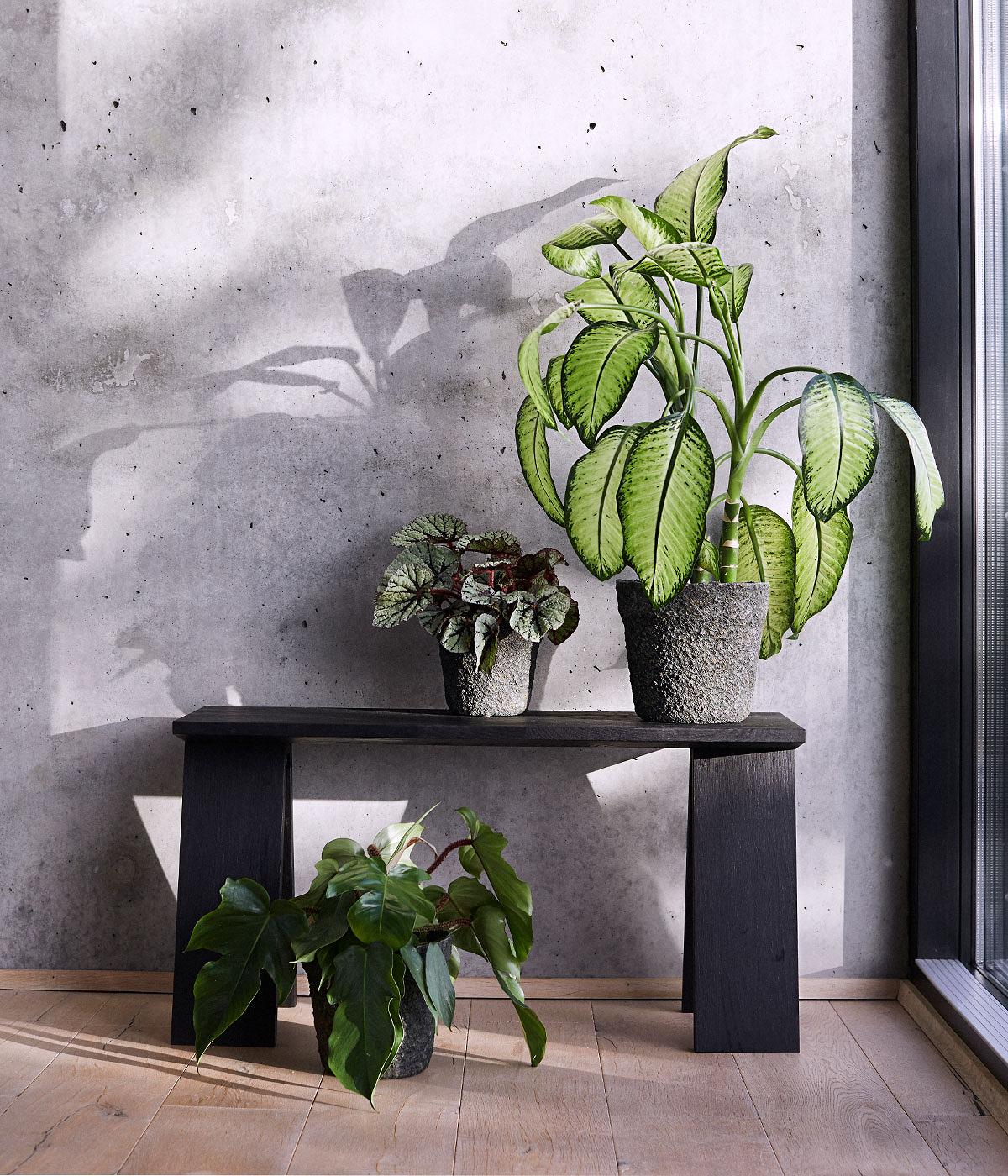 Jar Mosu 24 - Moss green